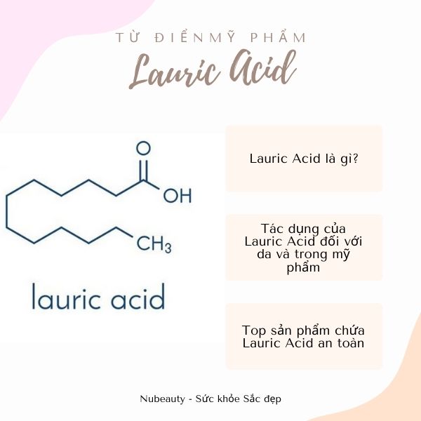 Lauric Acid là một thành phần có khả năng chống mụn rất tốt