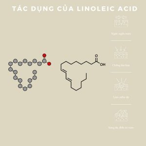Linoleic Acid được đánh giá là rất an toàn